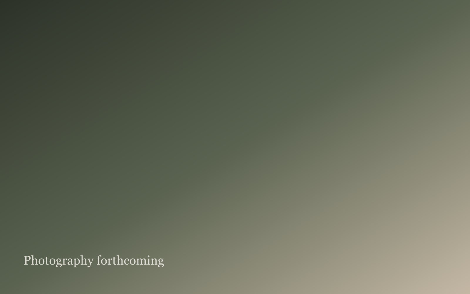 Placeholder for Green Forest project photography